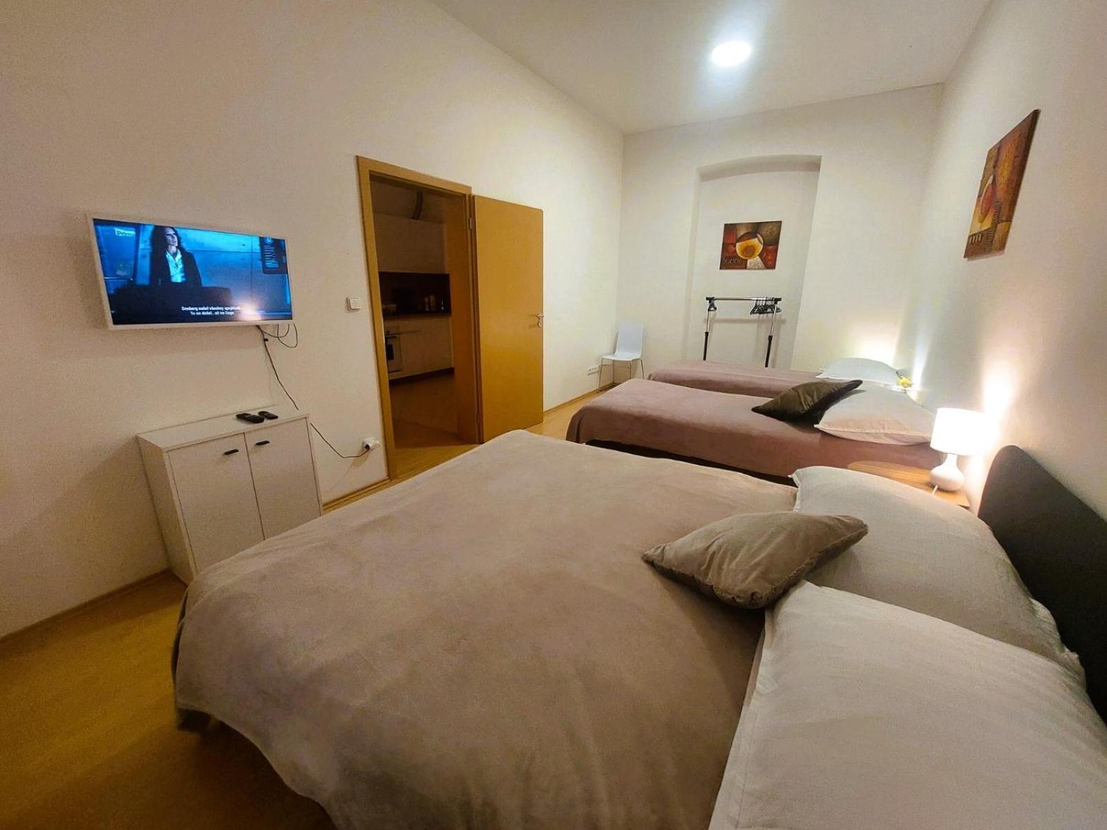 Prostorny Byt V Centru 3 Kk 80 M2 Hradec Králové Dış mekan fotoğraf